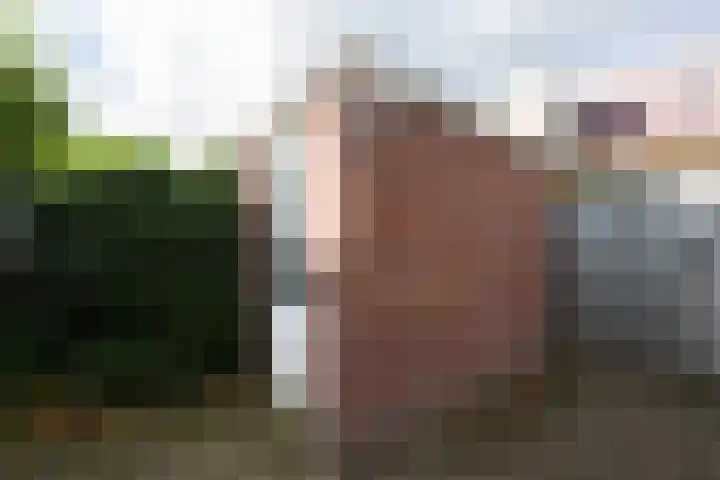 Annie M.G. Schmidtplein 52 Waalwijk thumbnail 29