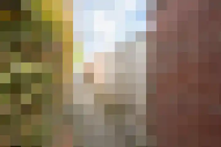 Annie M.G. Schmidtplein 52 Waalwijk thumbnail 30