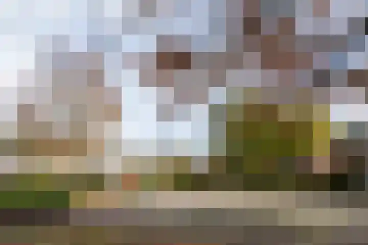 Annie M.G. Schmidtplein 52 Waalwijk thumbnail 32