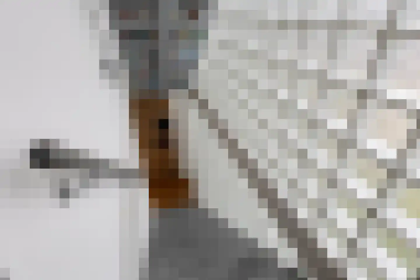 Annie M.G. Schmidtstraat 10 Zutphen thumbnail 20
