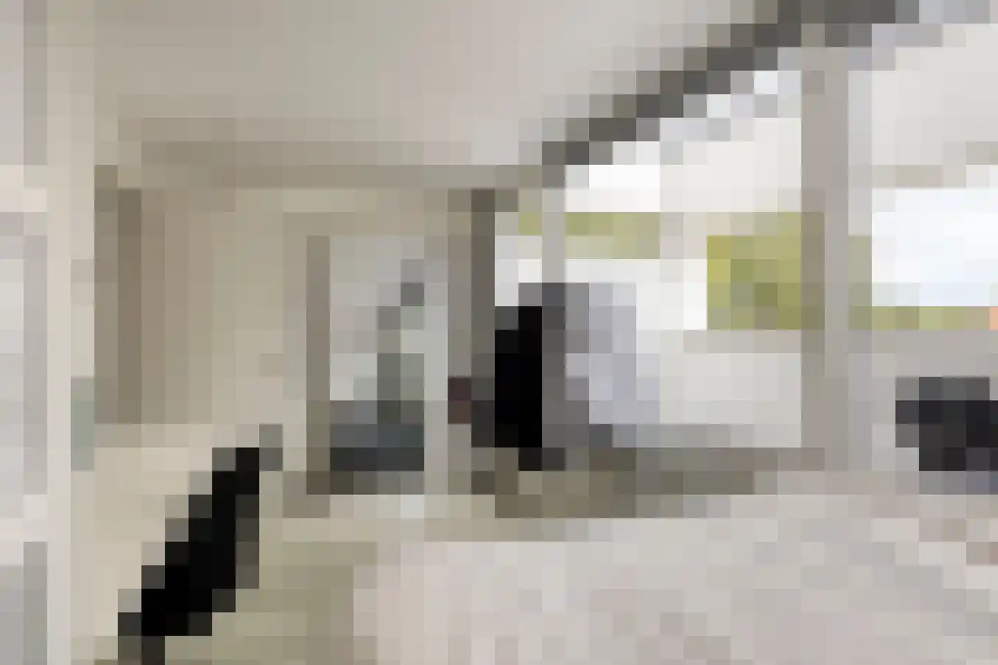 Annie M.G. Schmidtstraat 10 Zutphen thumbnail 32
