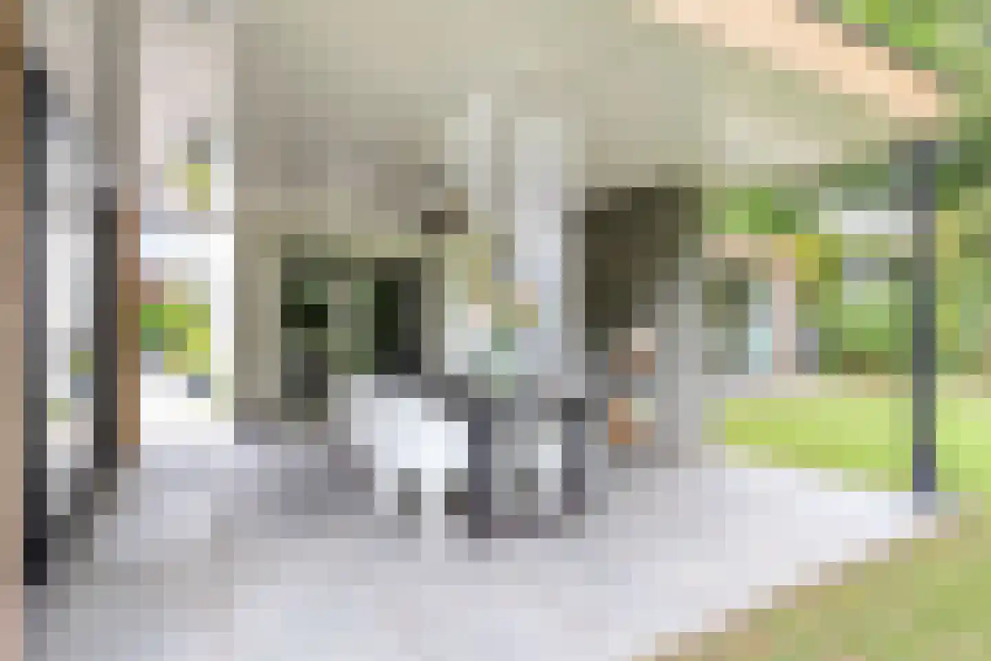 Annie M.G. Schmidtstraat 10 Zutphen thumbnail 36