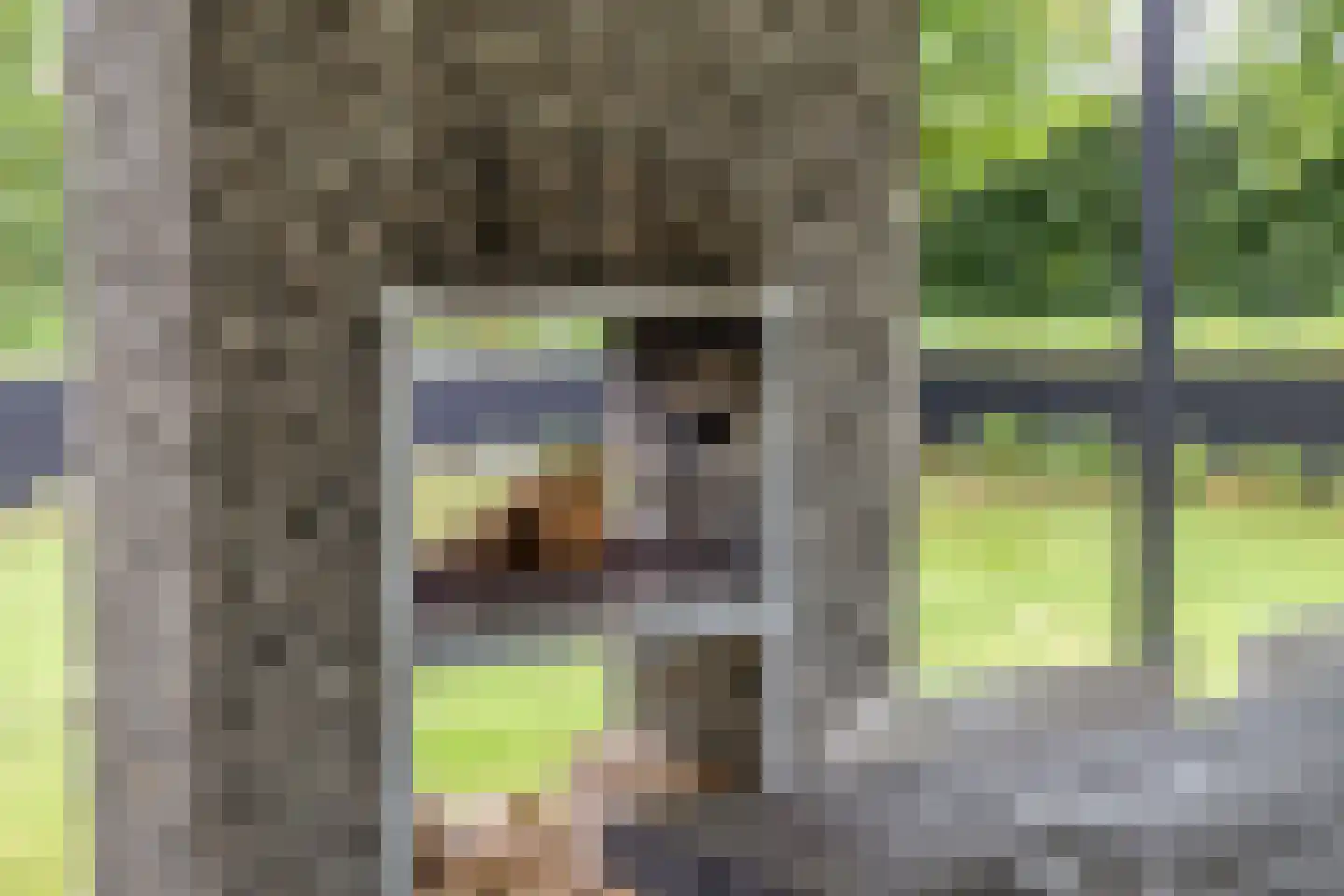 Annie M.G. Schmidtstraat 10 Zutphen thumbnail 38