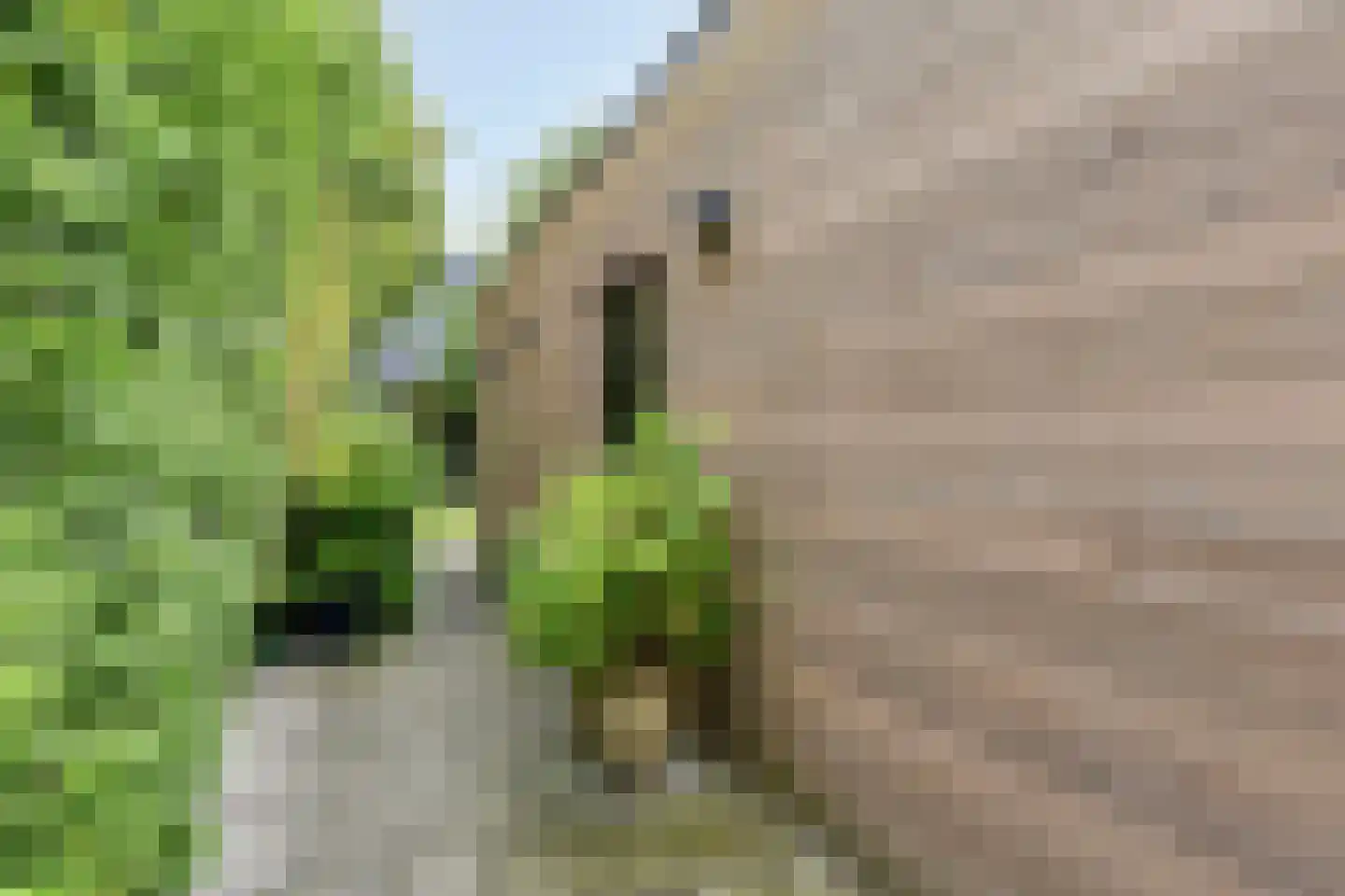 Annie M.G. Schmidtstraat 10 Zutphen thumbnail 48