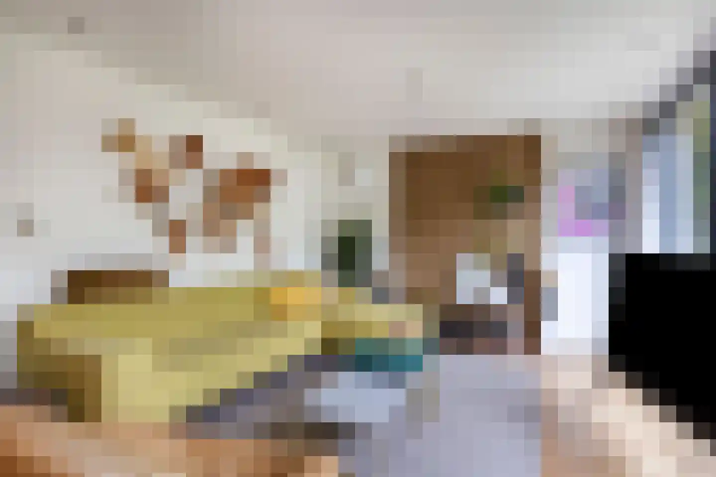 Annie M.G. Schmidtstraat 10 Zutphen thumbnail 5