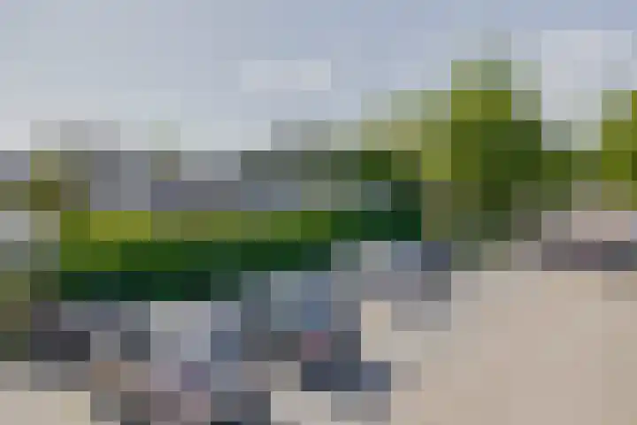 Annie M.G. Schmidtstraat 11 Oud-Beijerland thumbnail 11