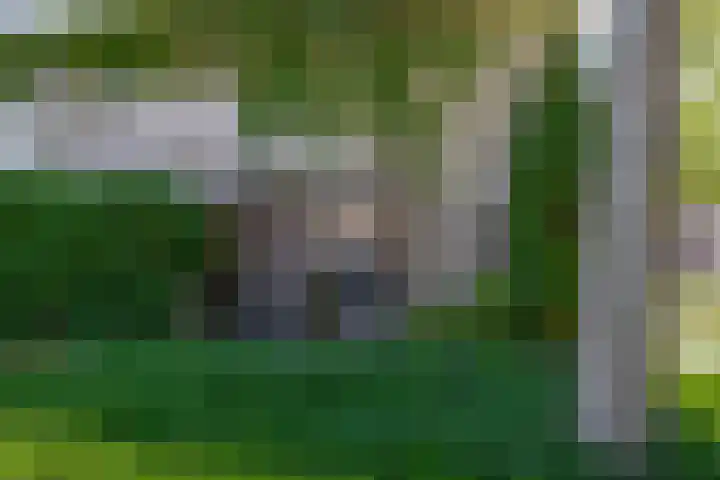 Annie M.G. Schmidtstraat 11 Oud-Beijerland thumbnail 12