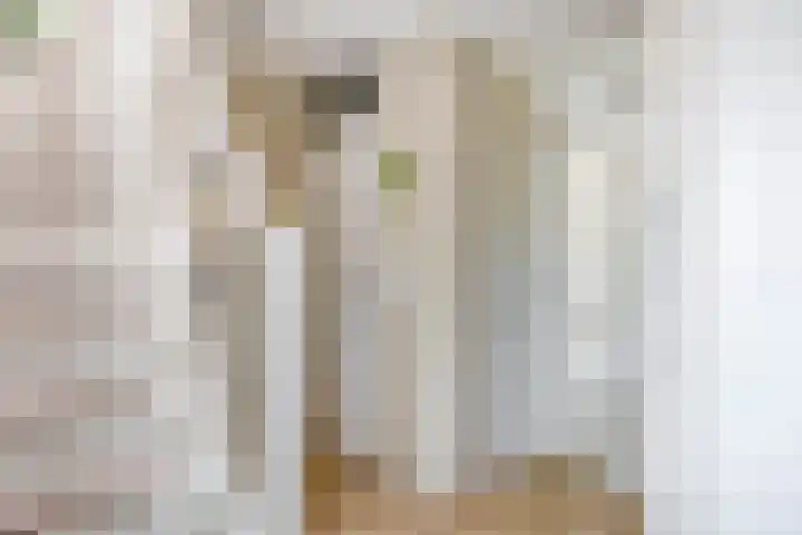 Annie M.G. Schmidtstraat 11 Oud-Beijerland thumbnail 13