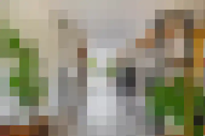 Annie M.G. Schmidtstraat 11 Oud-Beijerland thumbnail 15
