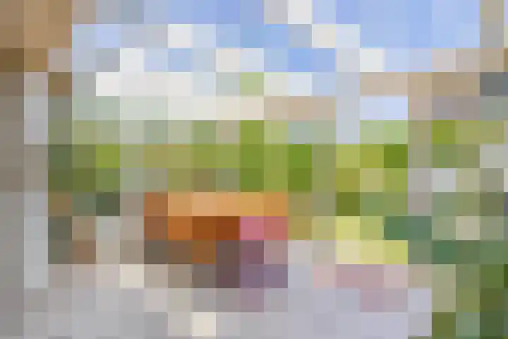 Annie M.G. Schmidtstraat 11 Oud-Beijerland thumbnail 20