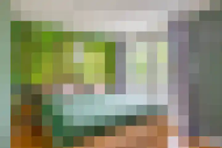 Annie M.G. Schmidtstraat 11 Oud-Beijerland thumbnail 31