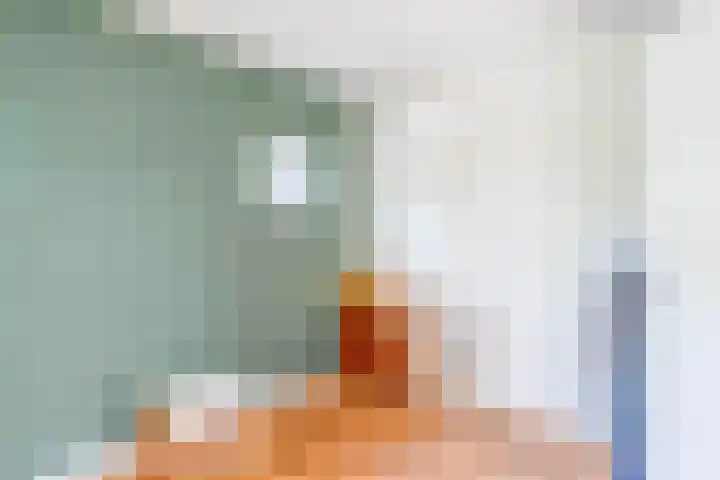 Annie M.G. Schmidtstraat 11 Oud-Beijerland thumbnail 32
