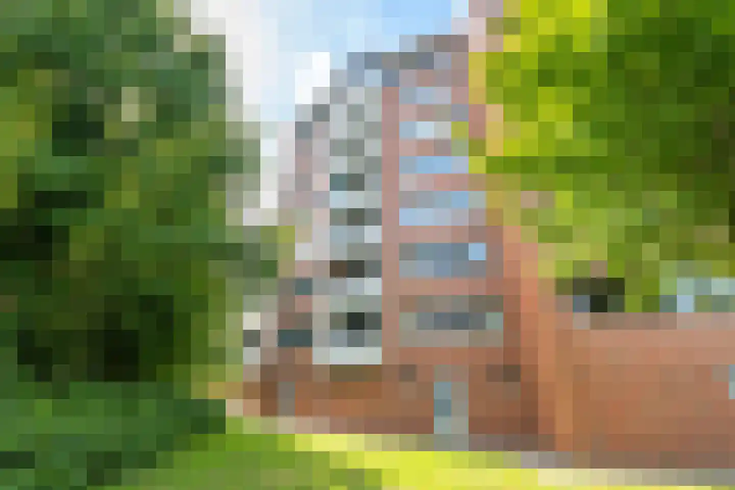 Annie M.G. Schmidtstraat 16 Alkmaar thumbnail 5