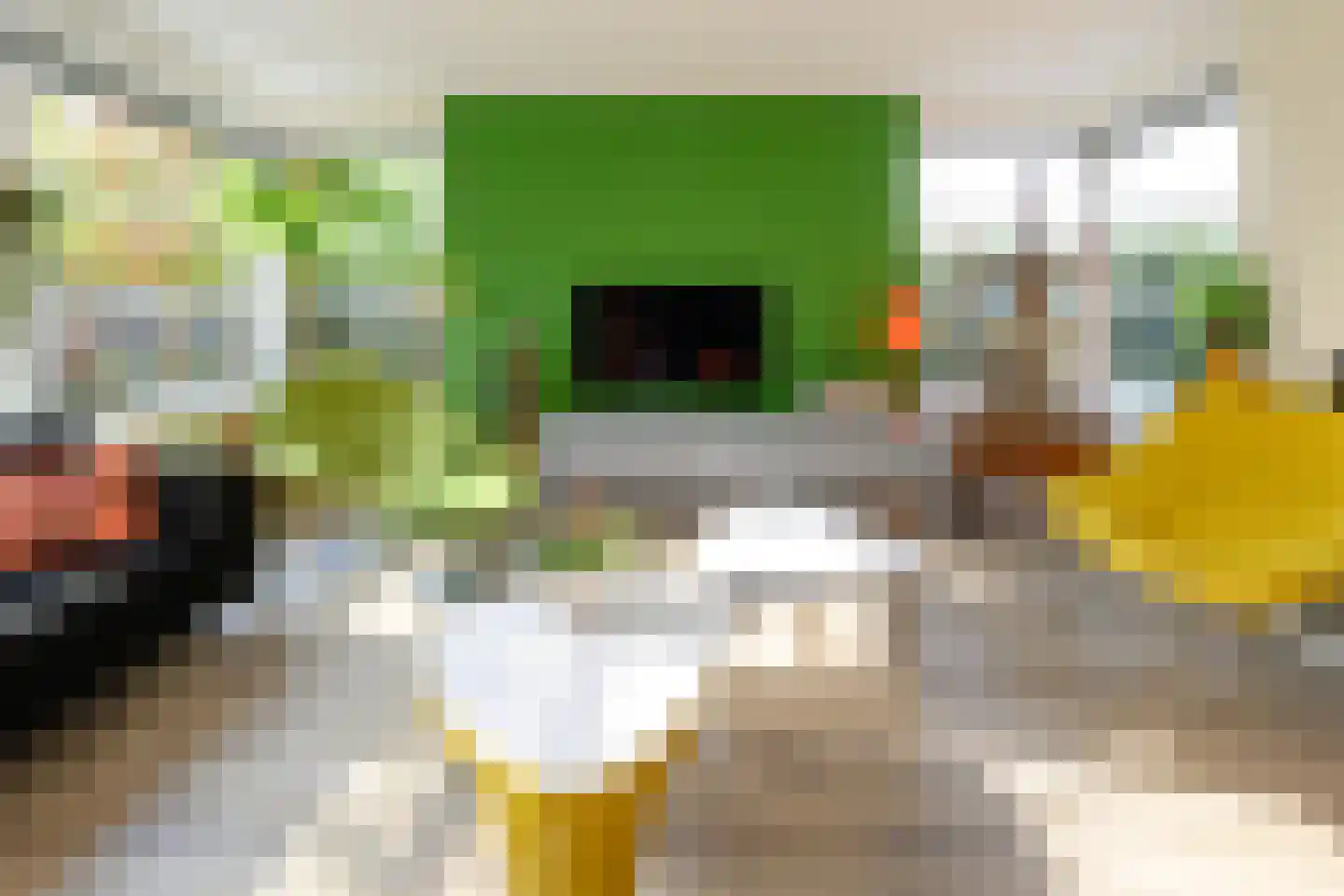 Annie M.G. Schmidtstraat 2 Duiven thumbnail 11
