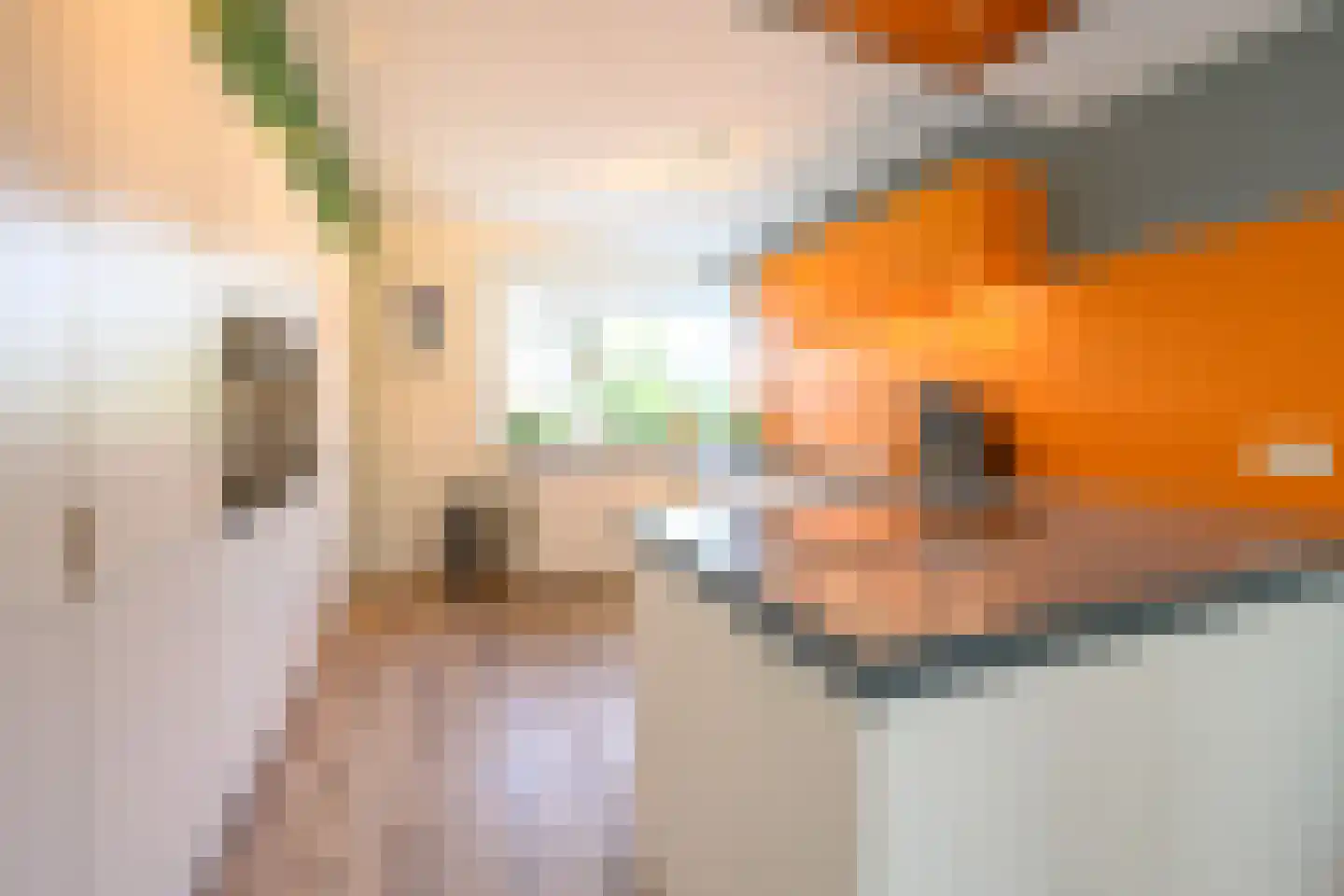 Annie M.G. Schmidtstraat 2 Duiven thumbnail 16
