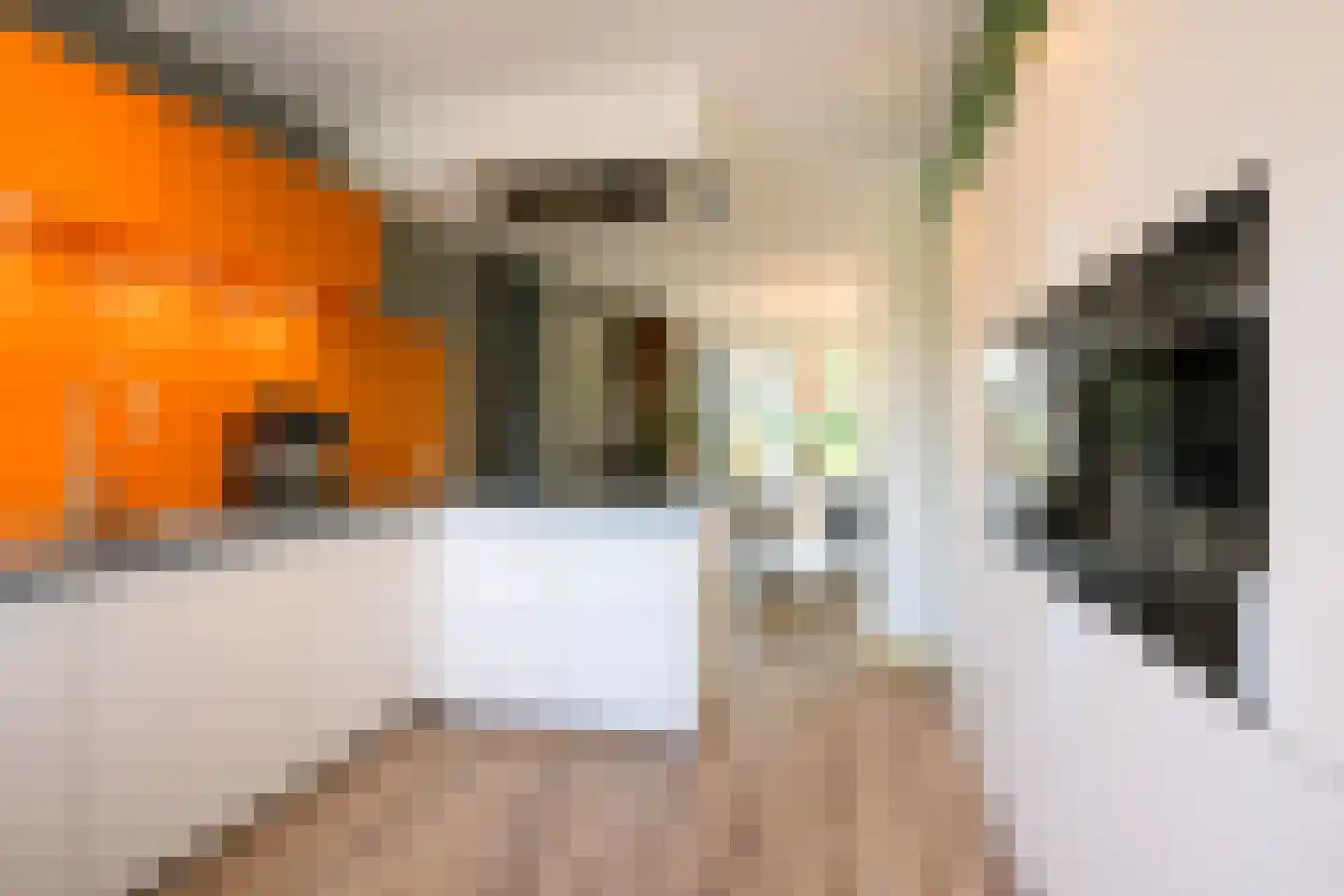 Annie M.G. Schmidtstraat 2 Duiven thumbnail 18