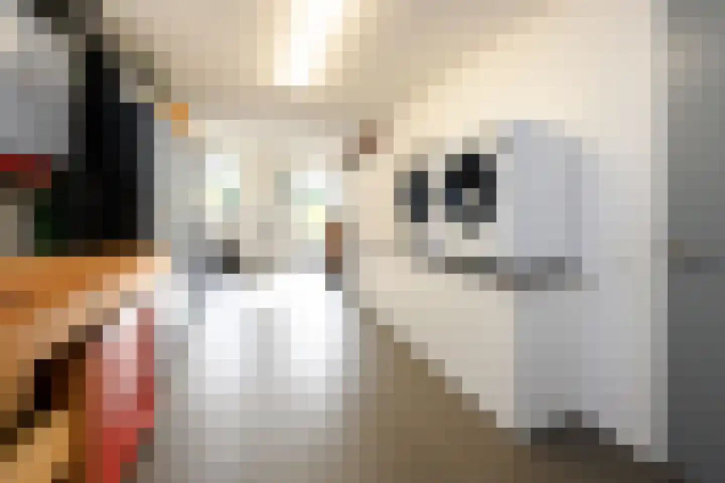 Annie M.G. Schmidtstraat 2 Duiven thumbnail 21