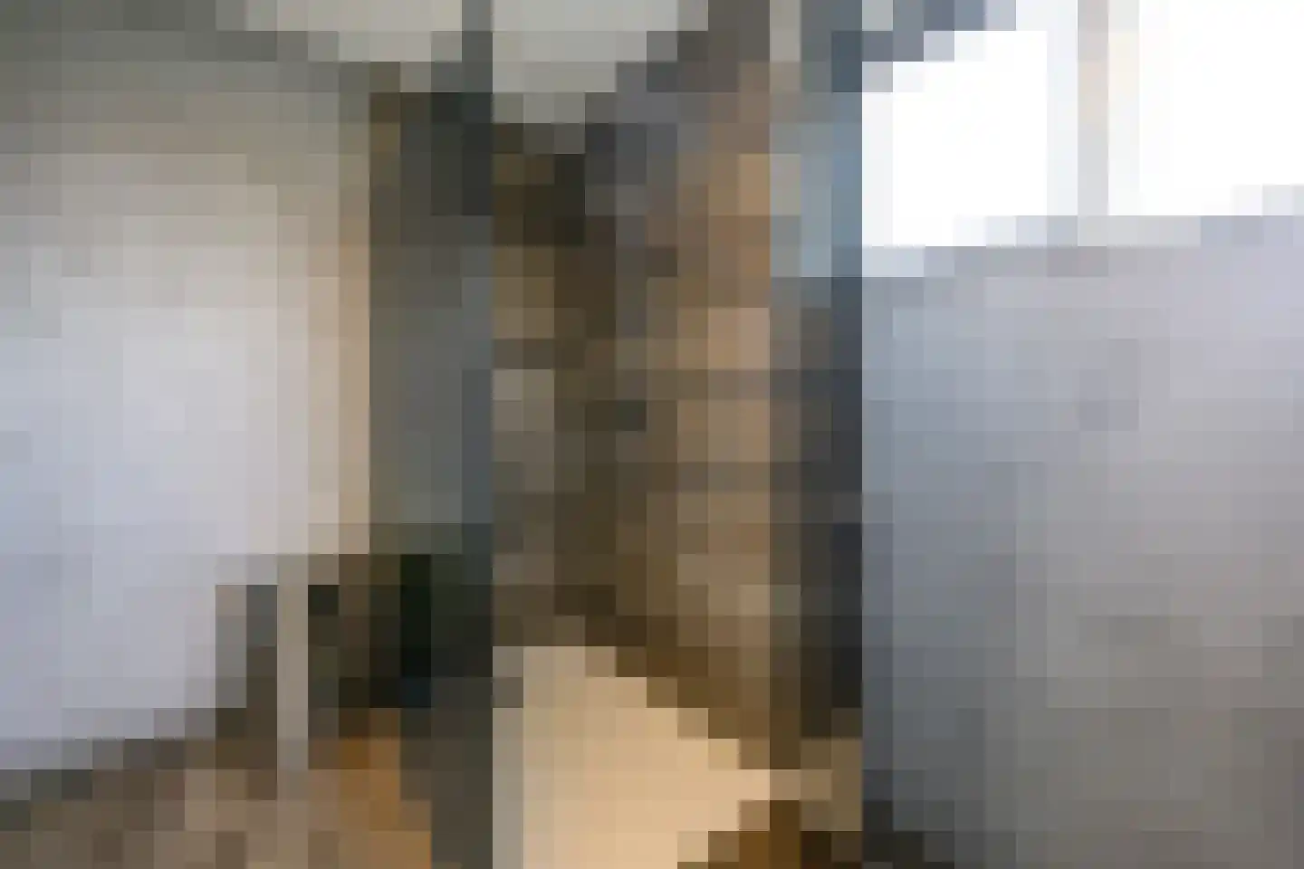Annie M.G. Schmidtstraat 2 Duiven thumbnail 30