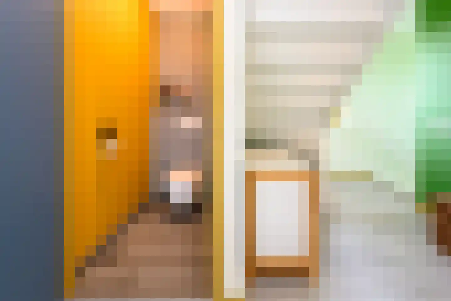 Annie M.G. Schmidtstraat 2 Duiven thumbnail 31