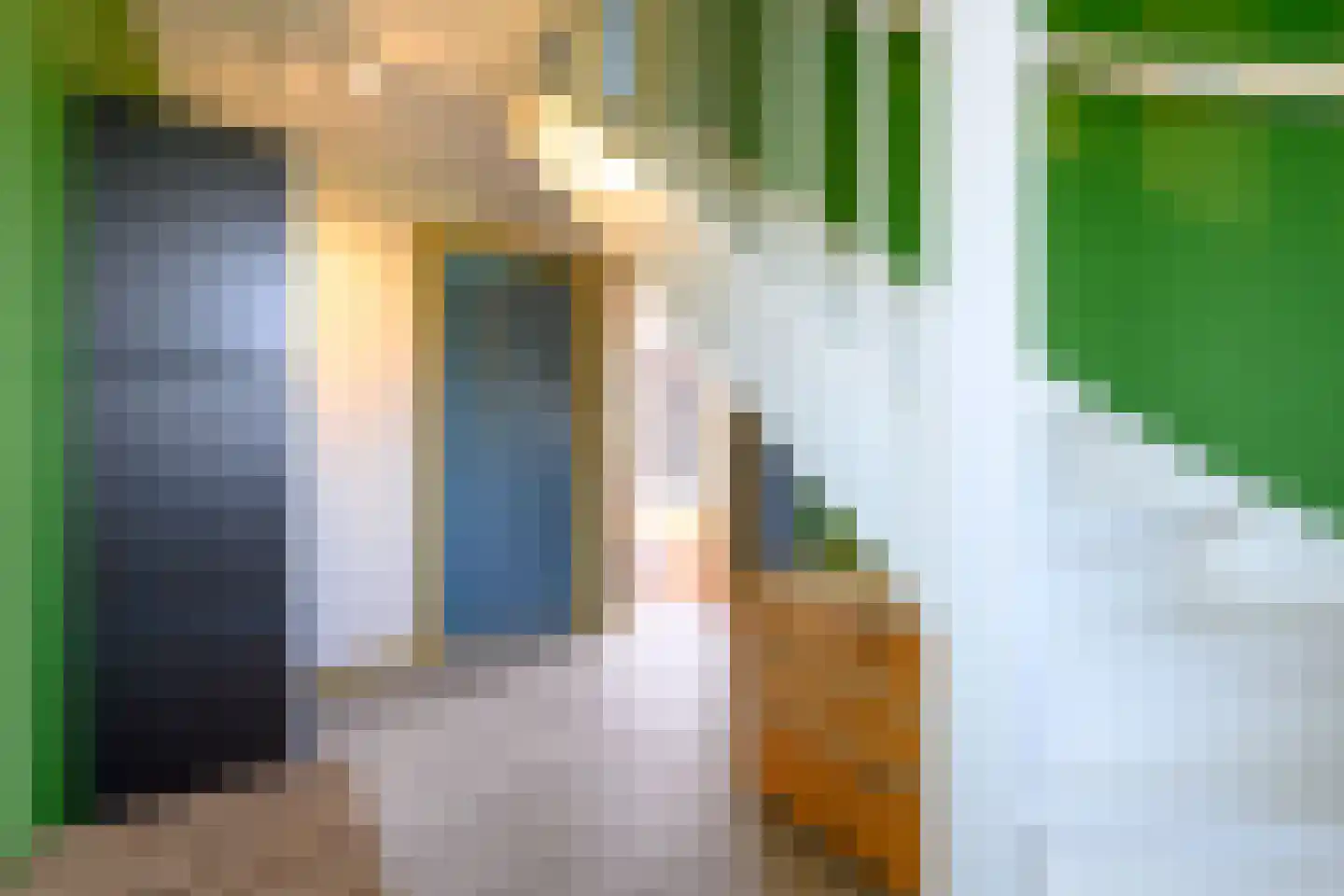 Annie M.G. Schmidtstraat 2 Duiven thumbnail 32
