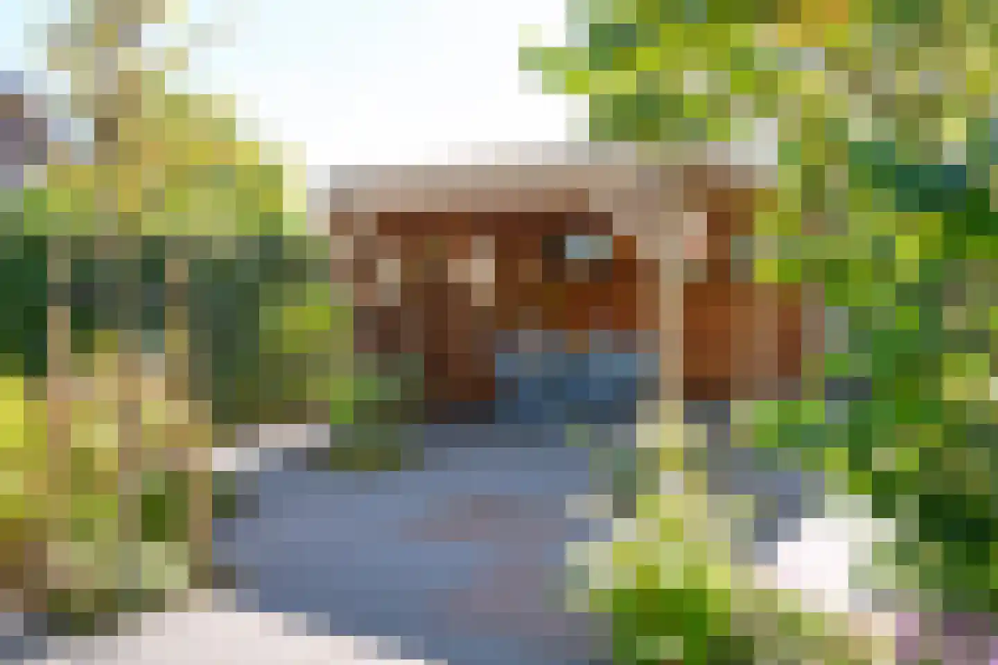Annie M.G. Schmidtstraat 2 Duiven thumbnail 43