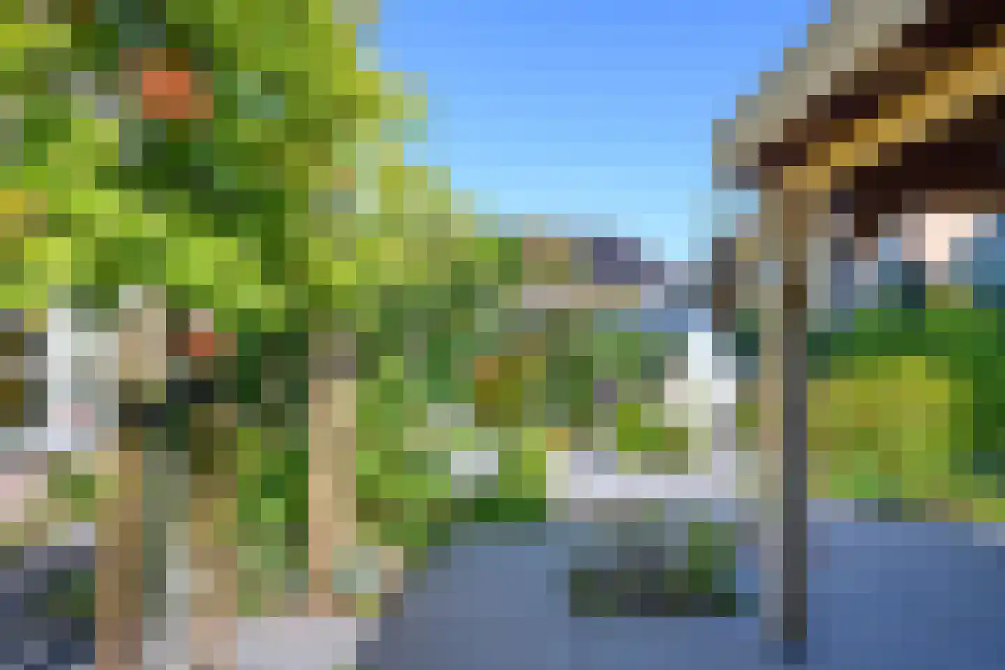 Annie M.G. Schmidtstraat 2 Duiven thumbnail 48