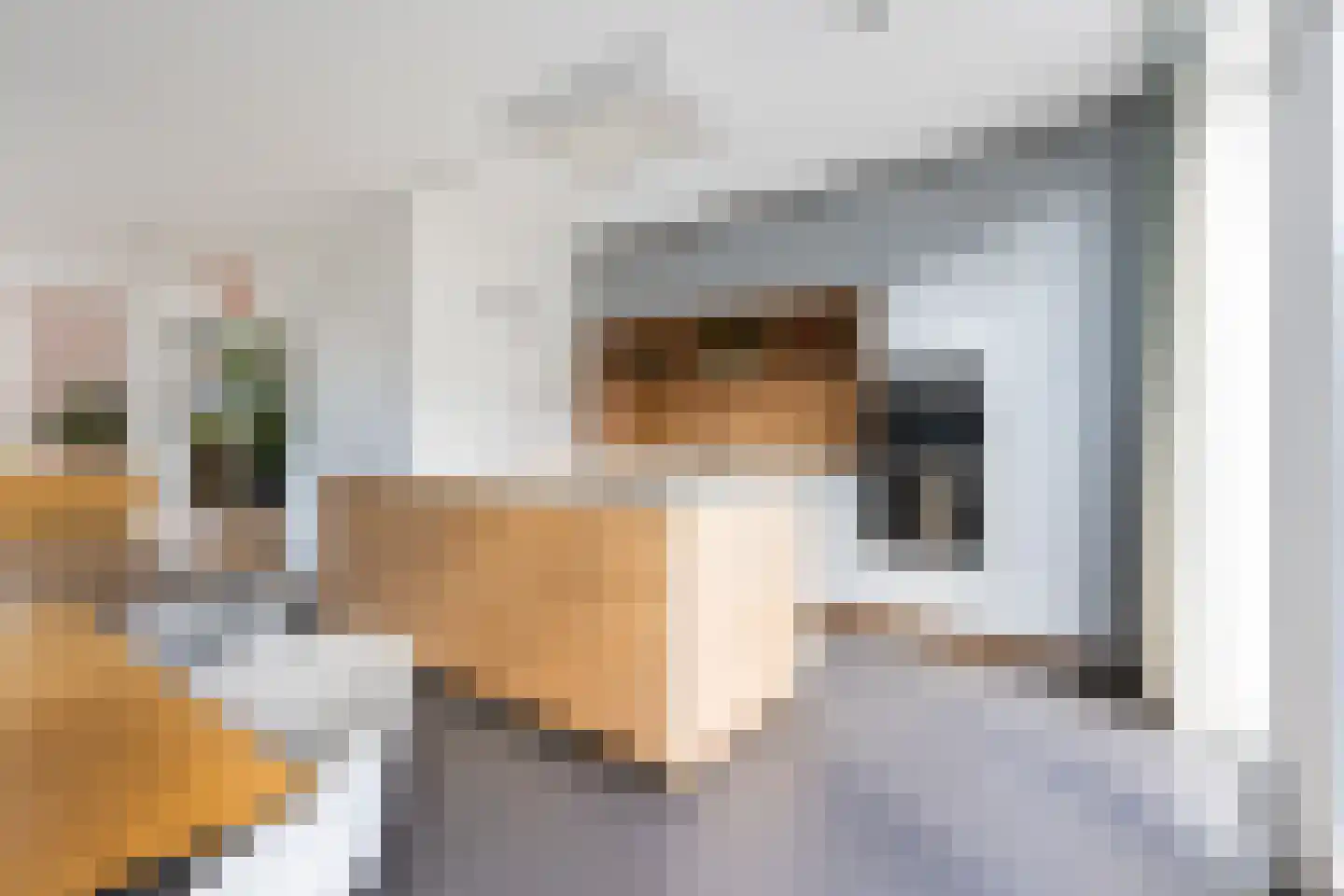 Annie M.G. Schmidtstraat 2 Hilversum thumbnail 10