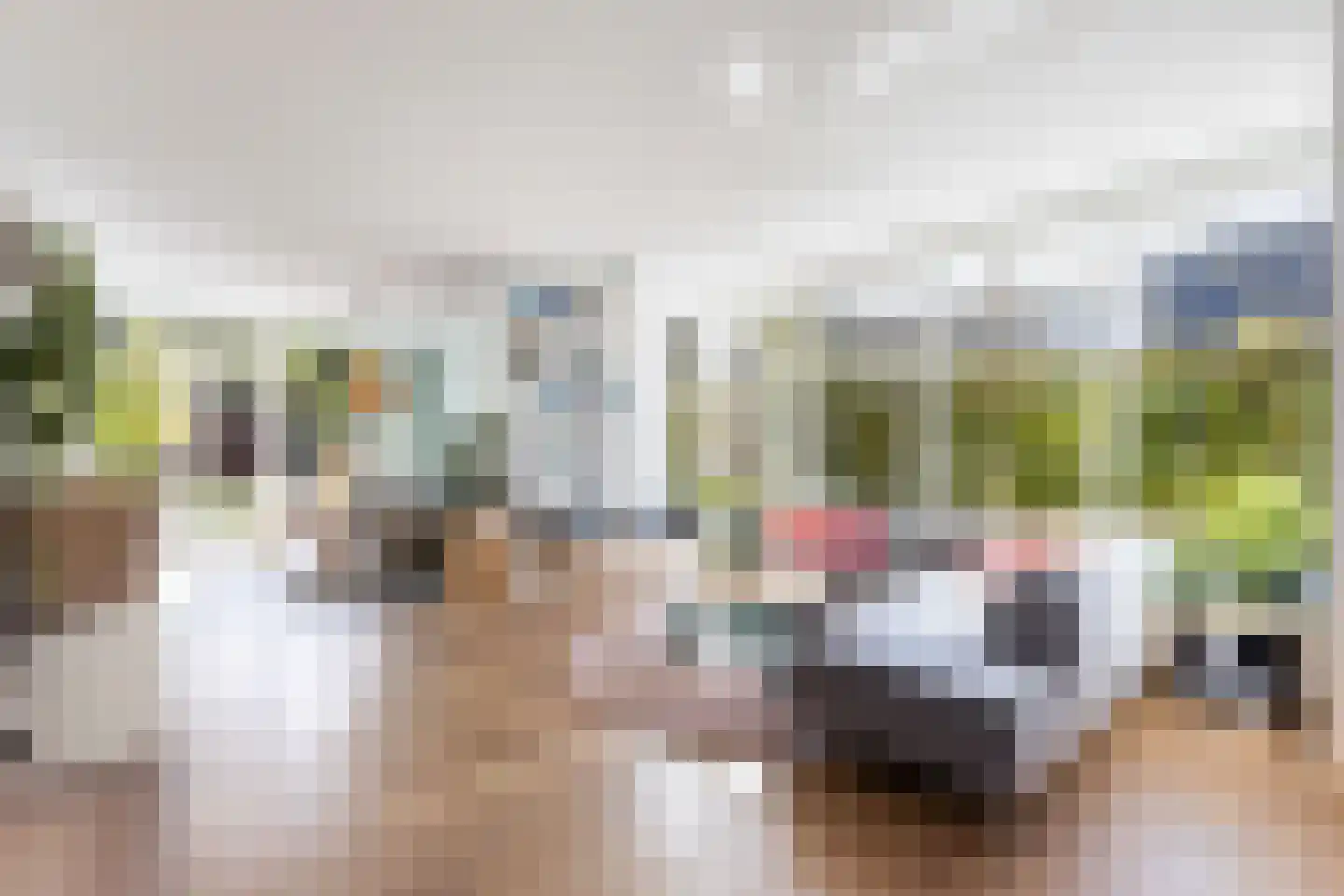 Annie M.G. Schmidtstraat 2 Hilversum thumbnail 12