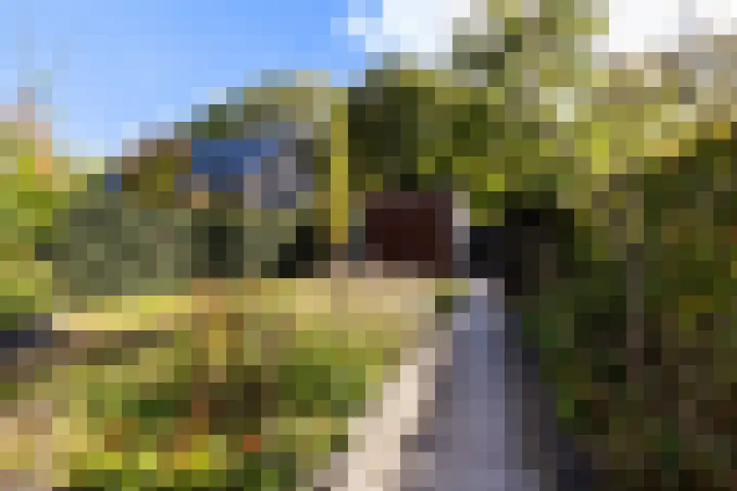 Annie M.G. Schmidtstraat 2 Hilversum thumbnail 22