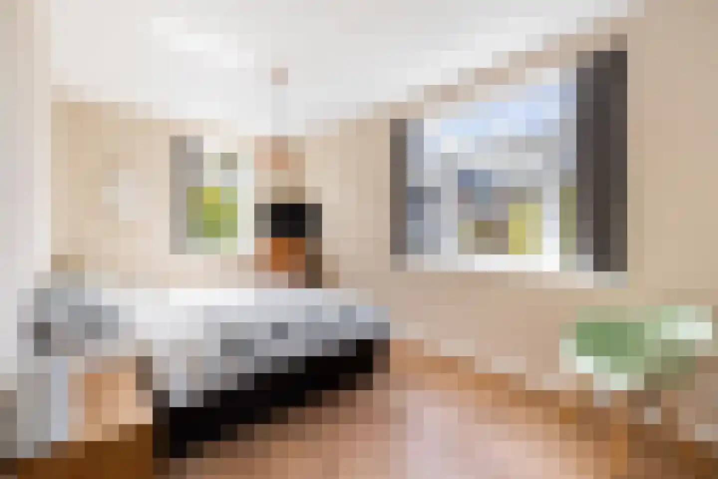 Annie M.G. Schmidtstraat 2 Hilversum thumbnail 27