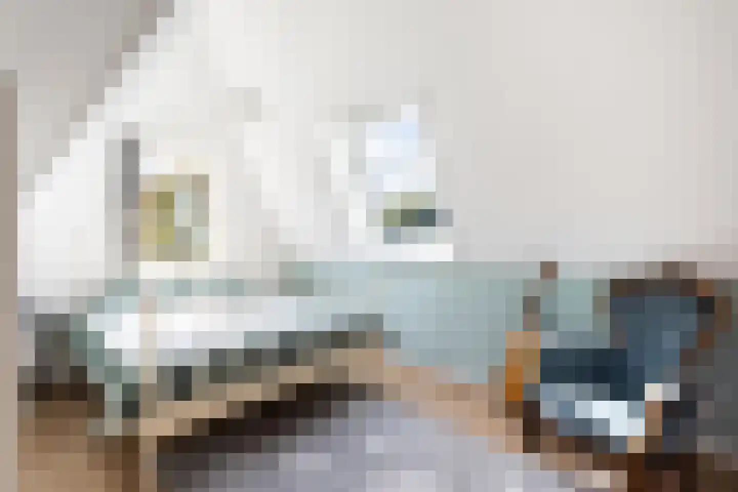 Annie M.G. Schmidtstraat 2 Hilversum thumbnail 33