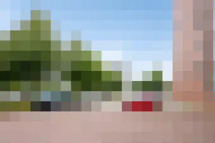 Annie M.G. Schmidtstraat 29 Alkmaar thumbnail 26
