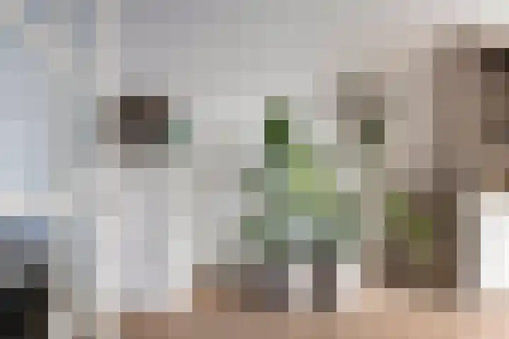 Annie M.G. Schmidtstraat 3 Oud-Beijerland thumbnail 10