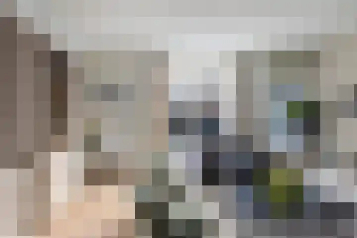 Annie M.G. Schmidtstraat 3 Oud-Beijerland thumbnail 12