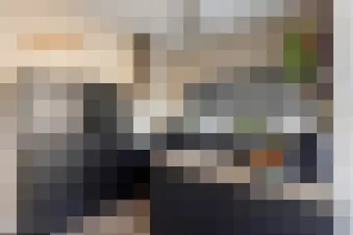 Annie M.G. Schmidtstraat 3 Oud-Beijerland thumbnail 20