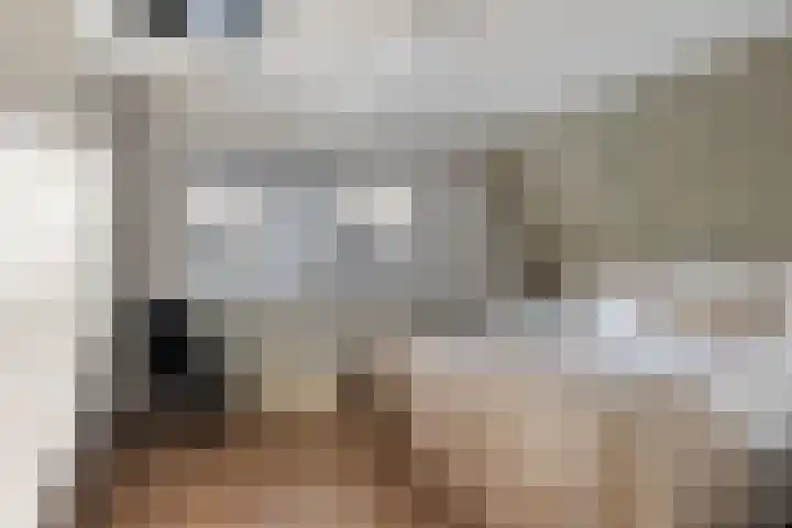 Annie M.G. Schmidtstraat 3 Oud-Beijerland thumbnail 25