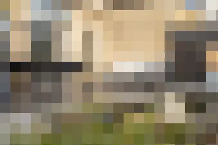 Annie M.G. Schmidtstraat 3 Oud-Beijerland thumbnail 36