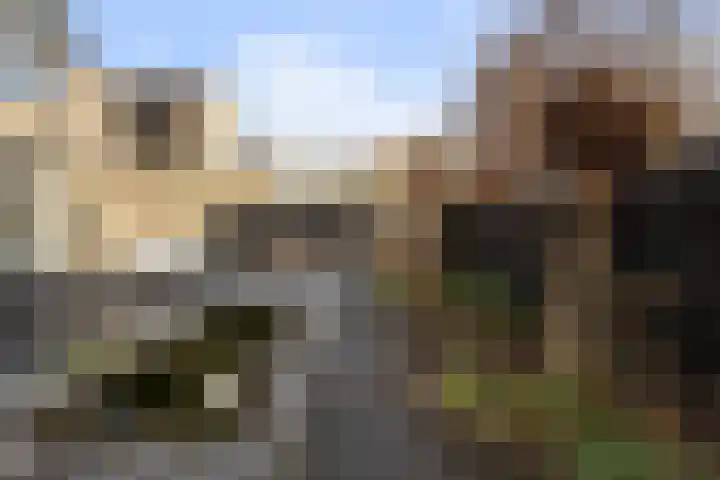 Annie M.G. Schmidtstraat 3 Oud-Beijerland thumbnail 38