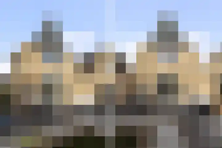 Annie M.G. Schmidtstraat 3 Oud-Beijerland thumbnail 39