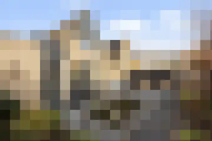Annie M.G. Schmidtstraat 3 Oud-Beijerland thumbnail 40