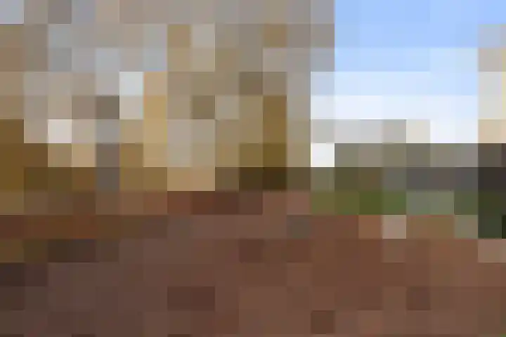 Annie M.G. Schmidtstraat 3 Oud-Beijerland thumbnail 43