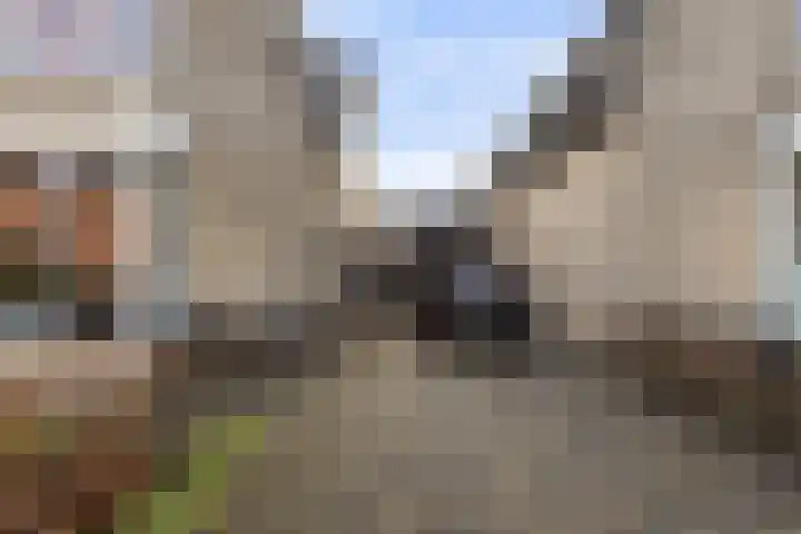 Annie M.G. Schmidtstraat 3 Oud-Beijerland thumbnail 5