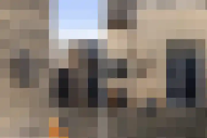 Annie M.G. Schmidtstraat 3 Oud-Beijerland thumbnail 7