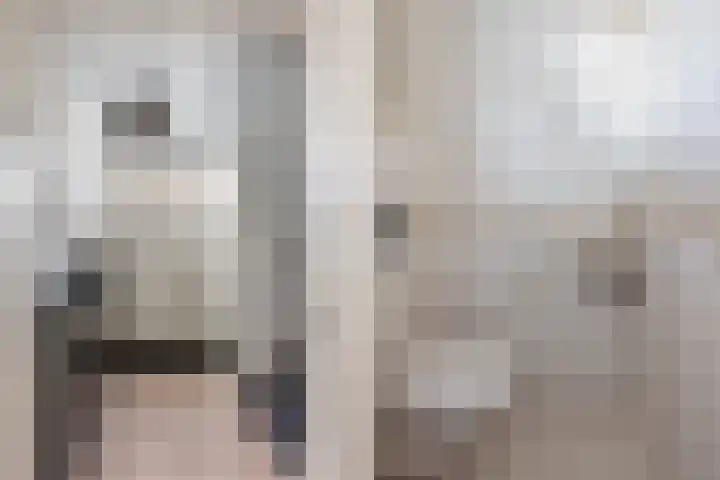 Annie M.G. Schmidtstraat 3 Oud-Beijerland thumbnail 9