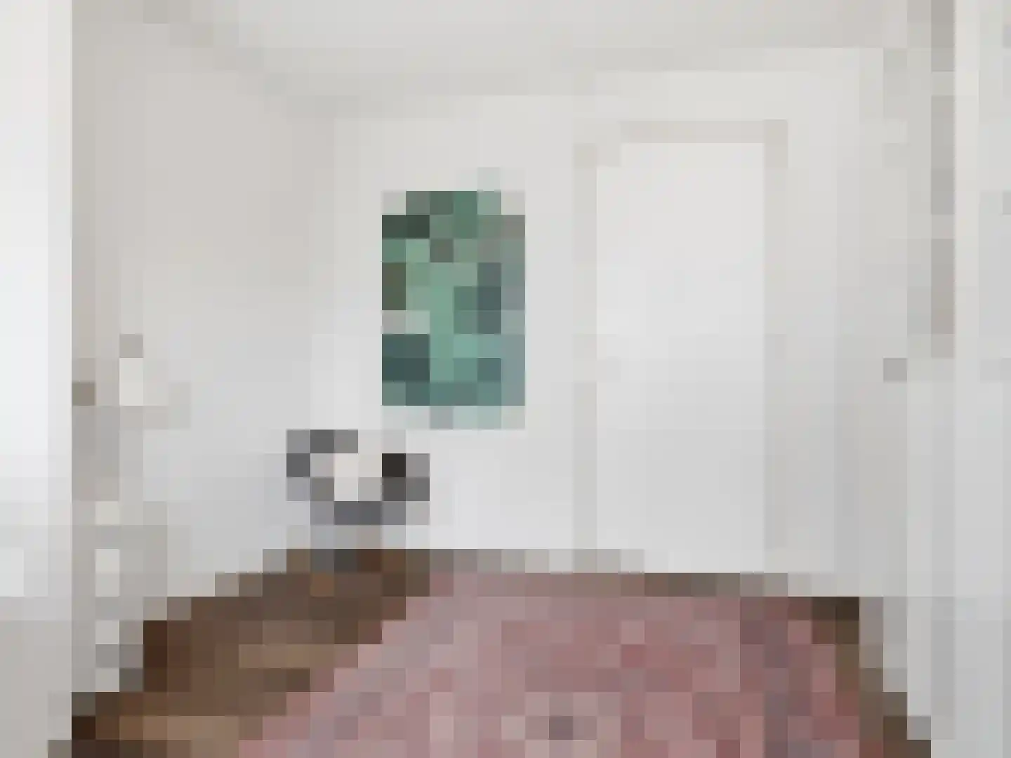 Annie M.G. Schmidtstraat 3 Zutphen thumbnail 28