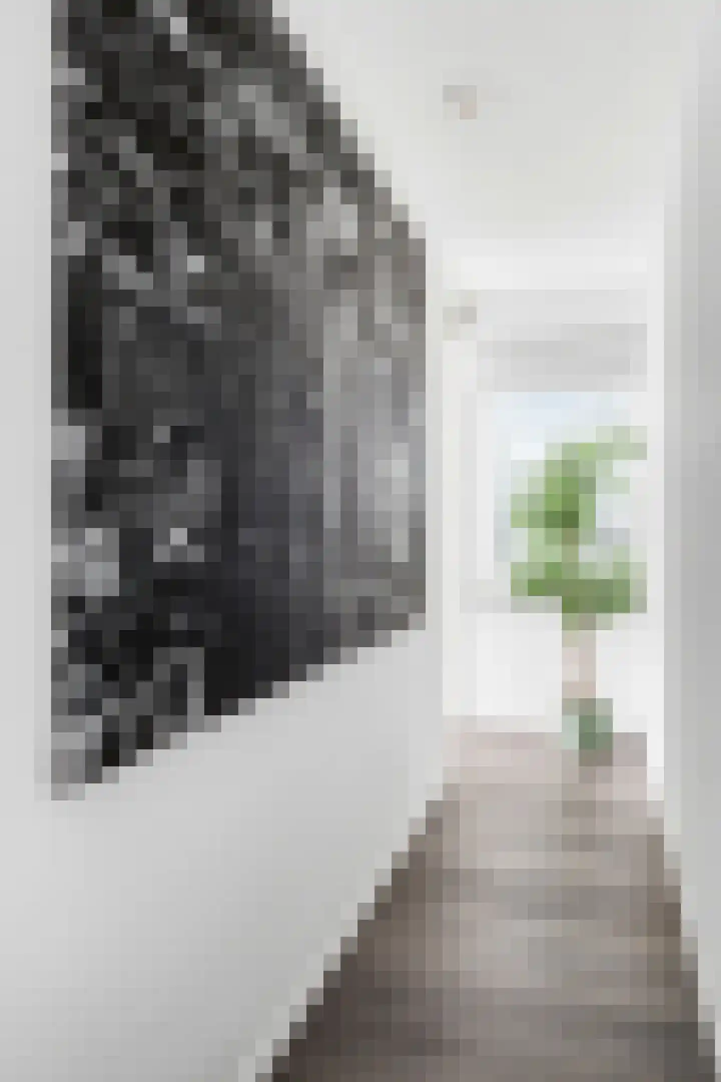 Annie M.G. Schmidtstraat 3 Zutphen thumbnail 30
