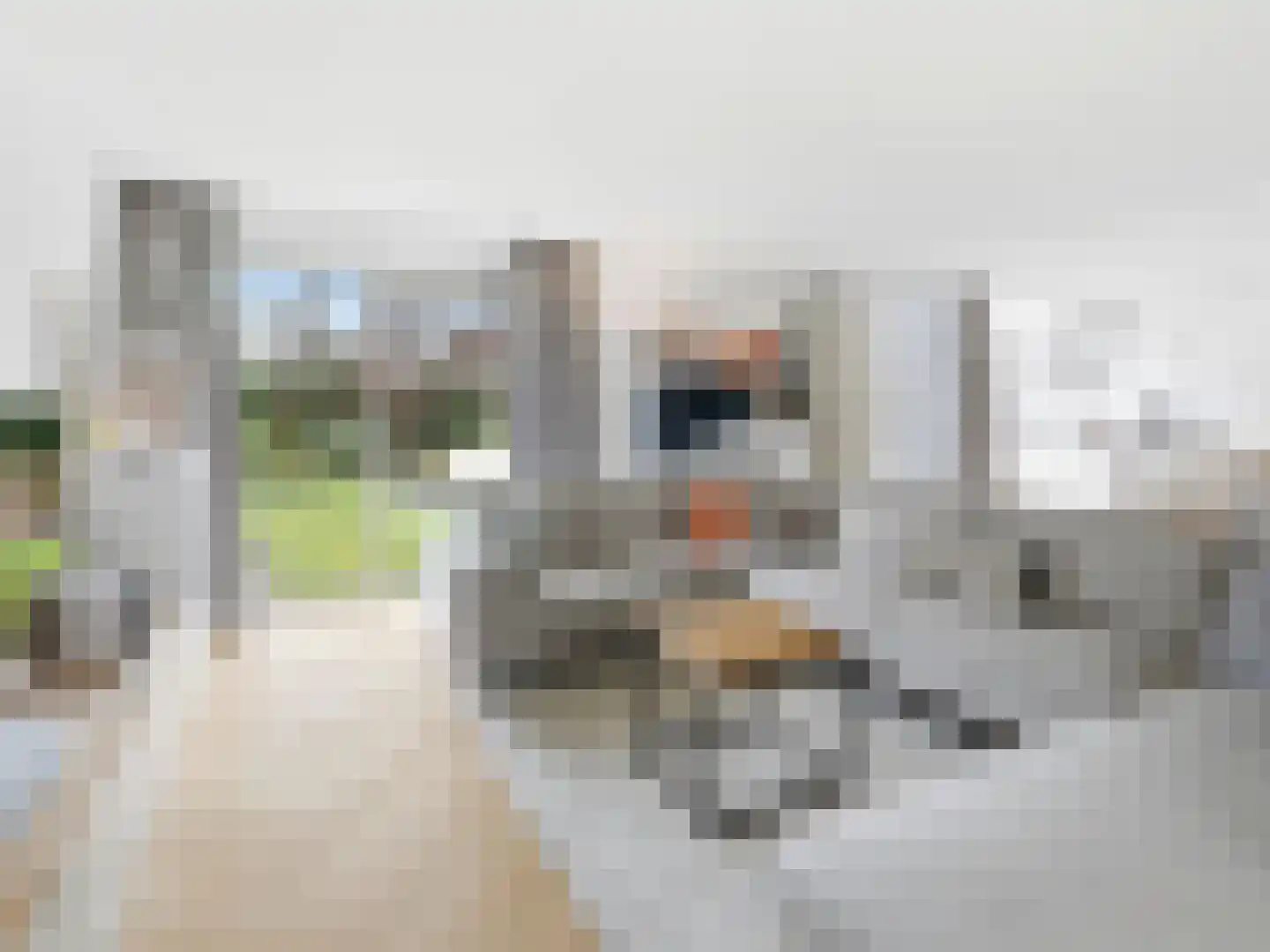 Annie M.G. Schmidtstraat 3 Zutphen thumbnail 4