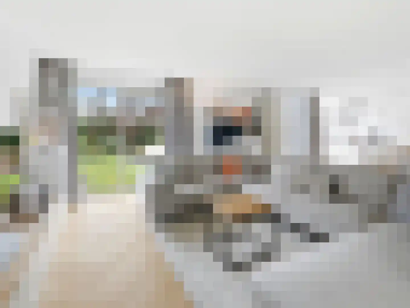 Annie M.G. Schmidtstraat 3 Zutphen thumbnail 4