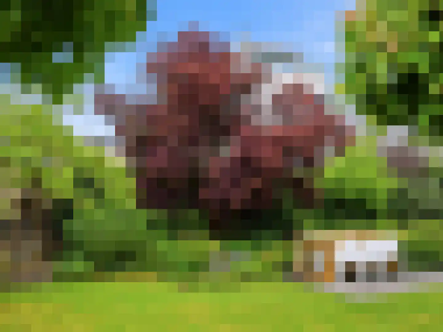 Annie M.G. Schmidtstraat 3 Zutphen thumbnail 42