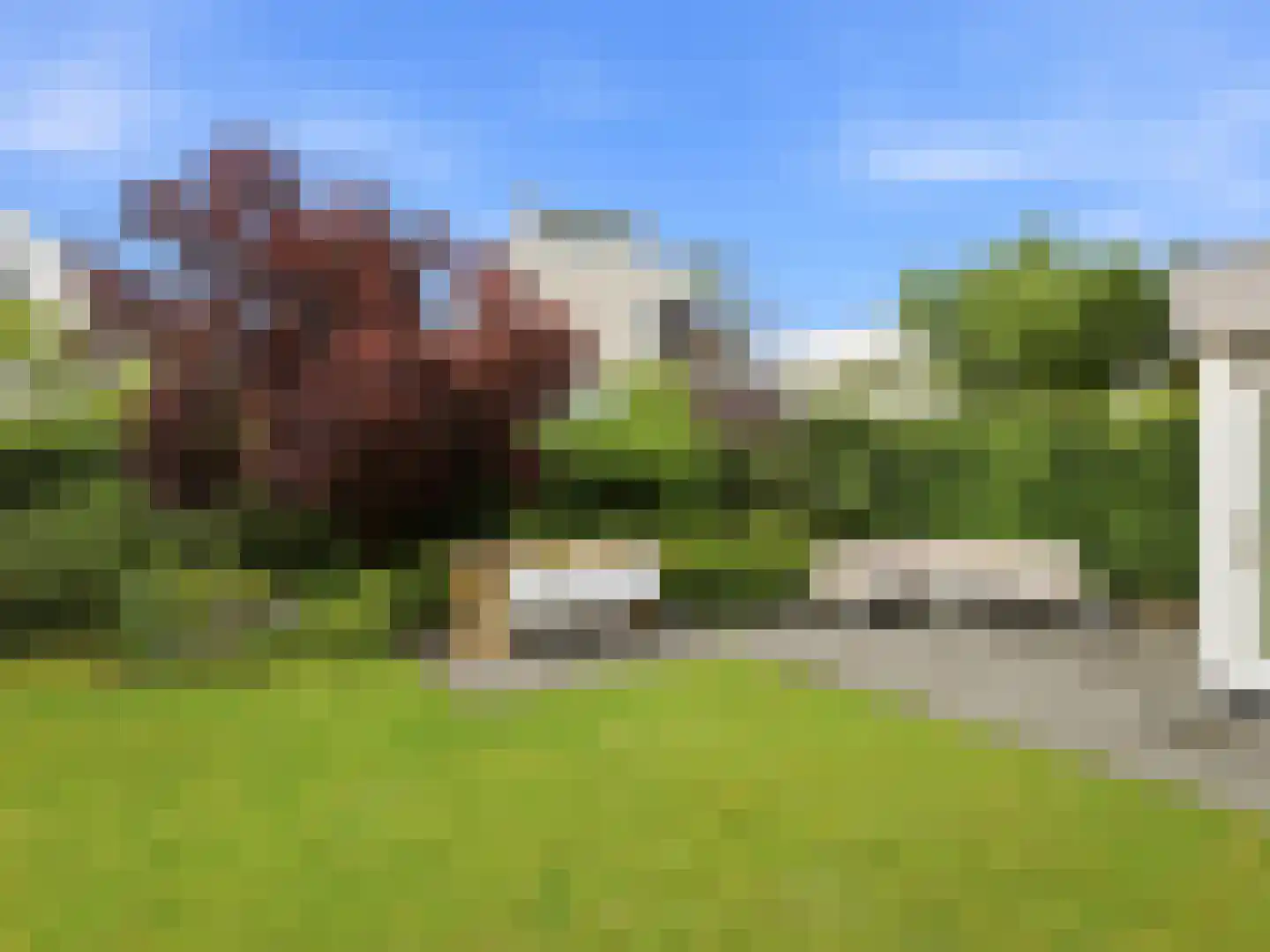Annie M.G. Schmidtstraat 3 Zutphen thumbnail 45